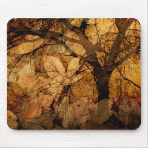 Goldene und braune Blätter Merritt Island, FL Mousepad