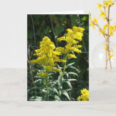 Goldene Unkräuter Karte (Gelbe Blume)