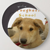 Goldene Weisheit: Ein Hund-Augen-Blick auf die Sch Button (Vorne & Hinten)