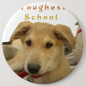 Goldene Weisheit: Ein Hund-Augen-Blick auf die Sch Button (Vorderseite)