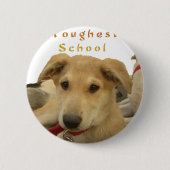 Goldene Weisheit: Ein Hund-Augen-Blick auf die Sch Button (Vorderseite)