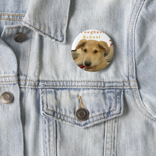 Goldene Weisheit: Ein Hund-Augen-Blick auf die Sch Button (Beispiel)