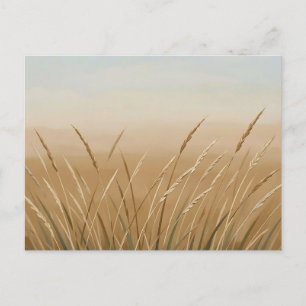 Goldene Weizen-Gras-Landschaft in Serenität  Postkarte
