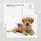 Goldene Welpe und amerikanische Flagge Postkarte (Vorne/Hinten)