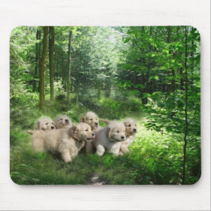 Goldene Welpen Mousepad