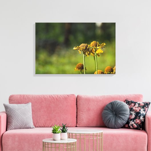 Goldene Wiese-Blume Leinwanddruck (Insitu (Wohnzimmer))