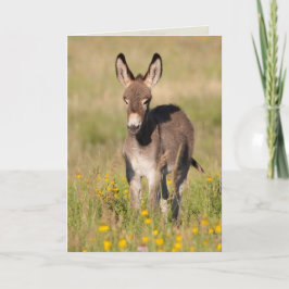 "Goldene Wiesen" - Grußkarte Karte