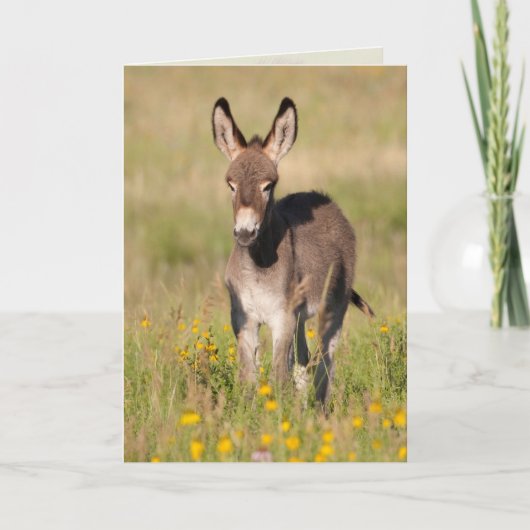 "Goldene Wiesen" - Grußkarte Karte (Vorderseite)