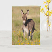 "Goldene Wiesen" - Grußkarte Karte (Gelbe Blume)