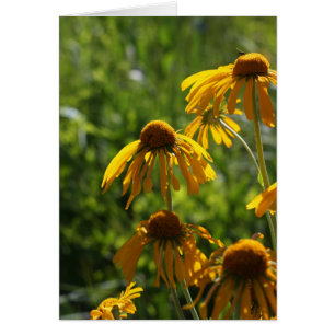 Goldene Wildblumen