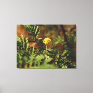 Goldene Wildblumen-Makro-Naturfotografie Leinwanddruck