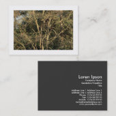 Goldene Zweige (grenzt) Visitenkarte (Vorne/Hinten)