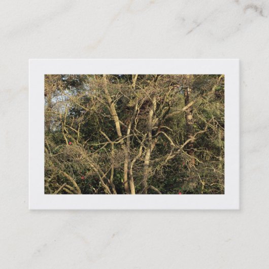 Goldene Zweige (grenzt) Visitenkarte (Vorderseite)