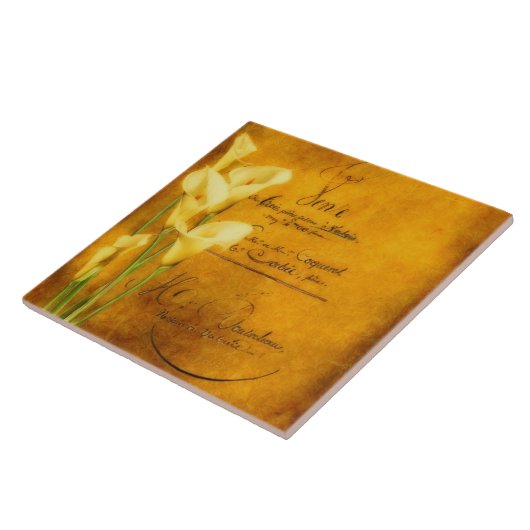 Goldene Zwerglilie Fliese (Seite)