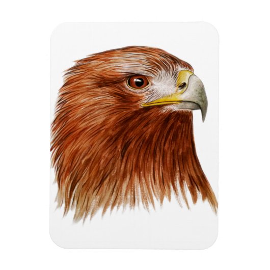 Goldener Adler 2011 Magnet (Vertikal)