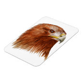 Goldener Adler 2011 Magnet (Linke Seite)