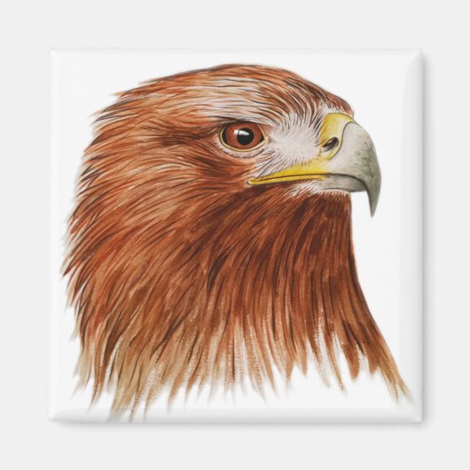 Goldener Adler 2011 Magnet (Vorne)