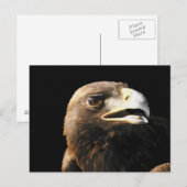 Goldener Adler Postkarte (Vorne/Hinten)