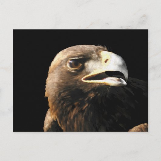 Goldener Adler Postkarte (Vorderseite)
