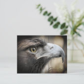 Goldener Adler: Postkarte (Stehend Vorderseite)