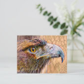 Goldener Adler [Postkarte] Postkarte (Stehend Vorderseite)