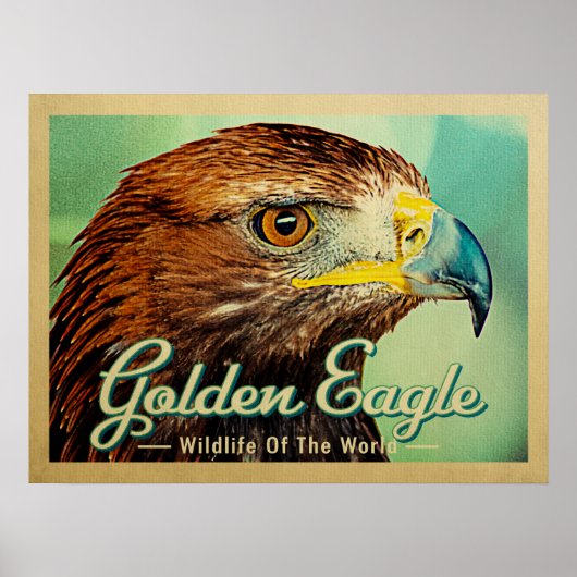 Goldener Adler - Wildnis des Weltvogels Poster (Vorne)