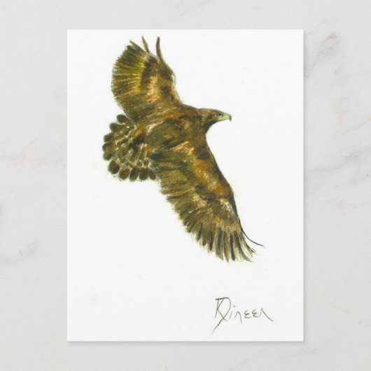 Goldener Adler Wille Wille Postkarte (Vorderseite)