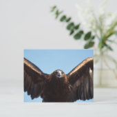 Goldener Adlerflug Postkarte (Stehend Vorderseite)