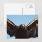Goldener Adlerflug Postkarte (Vorne/Hinten)