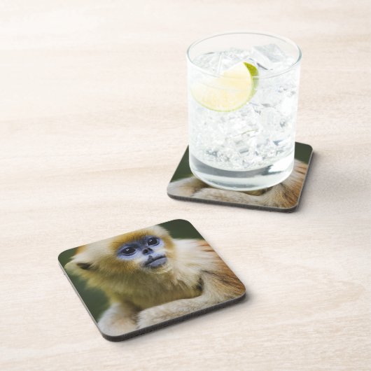 Goldener Affe Getränkeuntersetzer (Rechte Seite)