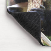 Goldener Affe im afrikanischen Dschungel Mousepad (Ecke)
