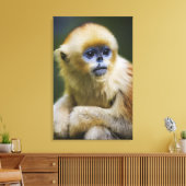 Goldener Affe Leinwanddruck (Insitu (Wohnzimmer))