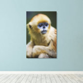 Goldener Affe Leinwanddruck (Insitu (Holzboden))