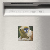 Goldener Affe Magnet (In Situ (Geschirrspüler))