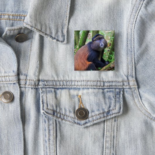 Goldener Affe, Ruanda Button (Beispiel)