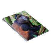 Goldener Affe, Ruanda Notizblock (Rechte Seite)