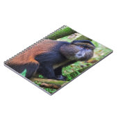 Goldener Affe, Ruanda Notizblock (Linke Seite)