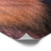 Goldener Affe, Ruanda Poster (Ecke)