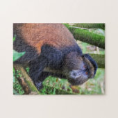 Goldener Affe, Ruanda Puzzle (Horizontal)