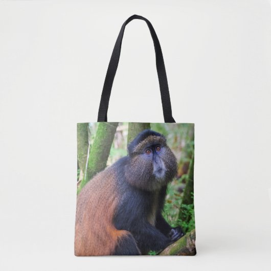 Goldener Affe, Ruanda Tasche (Vorderseite)