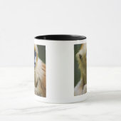 Goldener Affe Tasse (Zentrum)