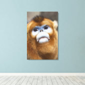 Goldener Affen Pygathrix roxellana Leinwanddruck (Insitu (Holzboden))