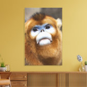 Goldener Affen Pygathrix roxellana Leinwanddruck (Insitu (Wohnzimmer))