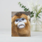 Goldener Affen Pygathrix roxellana Postkarte (Stehend Vorderseite)