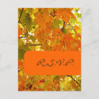 Goldener Ahorn, UAWG Postkarten für 12x18