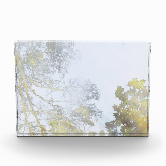 Goldener Breitblatt-Schimmer Fotoblock (Vorderseite)