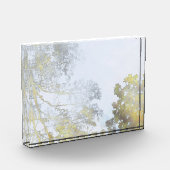 Goldener Breitblatt-Schimmer Fotoblock (Links)