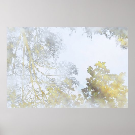 Goldener Breitblatt-Schimmer Poster (Vorne)