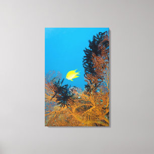 Goldener Damselfish (Amblyglyphidodon goldfarbig) Leinwanddruck