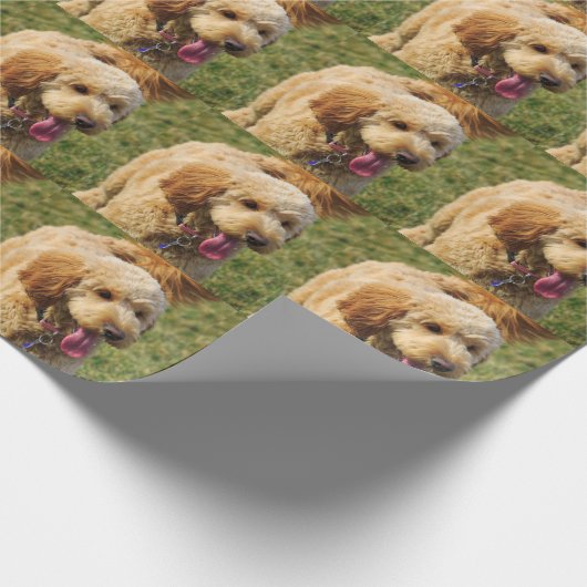 Goldener Doodle Geschenkpapier (Ecke)